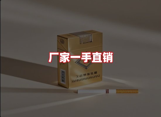 专业团队